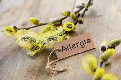 Allergien – Die neue Volkskrankheit